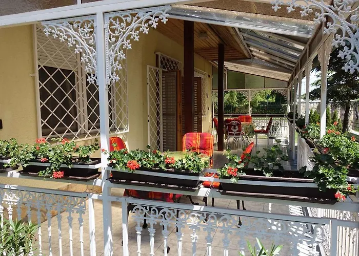 In - Balaton 19827 שיופוק